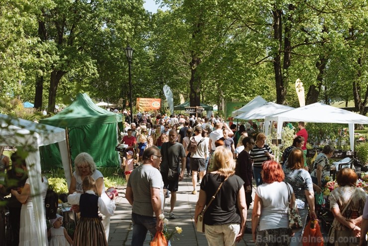 Jelgavas pilsētā notiek Latvijas Stādu dienas 222816