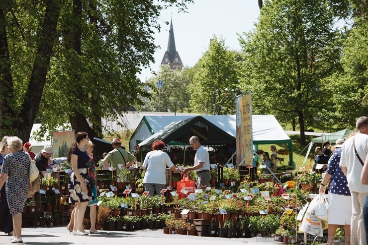 Jelgavas pilsētā notiek Latvijas Stādu dienas 222817