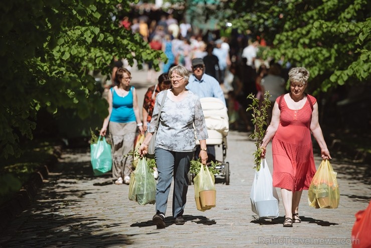 Jelgavas pilsētā notiek Latvijas Stādu dienas 222820