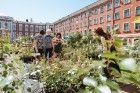 Jelgavas pilsētā notiek Latvijas Stādu dienas