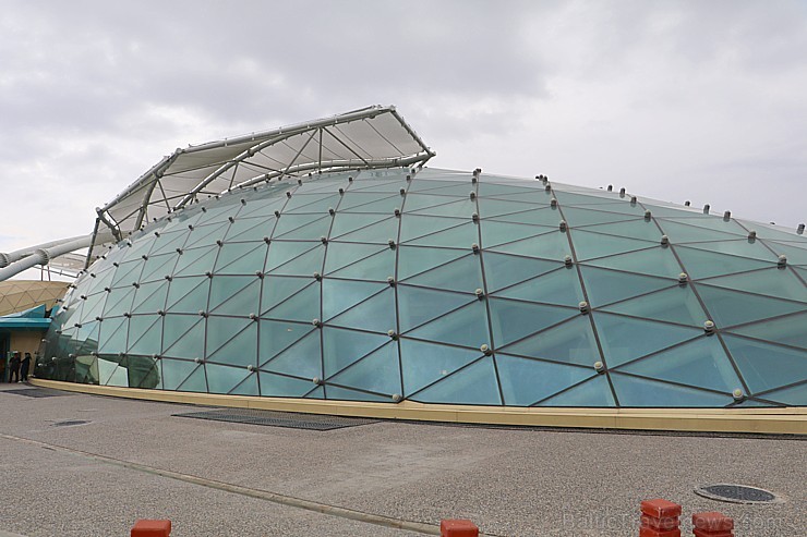 Travelnews.lv apmeklē Konjas taureņu māju «Konya Tropical Butterfly Garden». Atbalsta: Turkish Airlines 223731