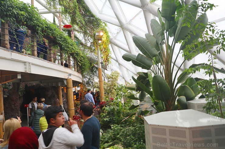 Travelnews.lv apmeklē Konjas taureņu māju «Konya Tropical Butterfly Garden». Atbalsta: Turkish Airlines Travelnews.lv apmeklē Konjas taureņu māju «Konya Tropical Butterfly Garden». Atbalsta: Turkish Airlines 223733