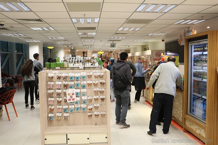 Travelnews.lv apmeklē Konjas taureņu māju «Konya Tropical Butterfly Garden». Atbalsta: Turkish Airlines Travelnews.lv apmeklē Konjas taureņu māju «Konya Tropical Butterfly Garden». Atbalsta: Turkish Airlines 223766