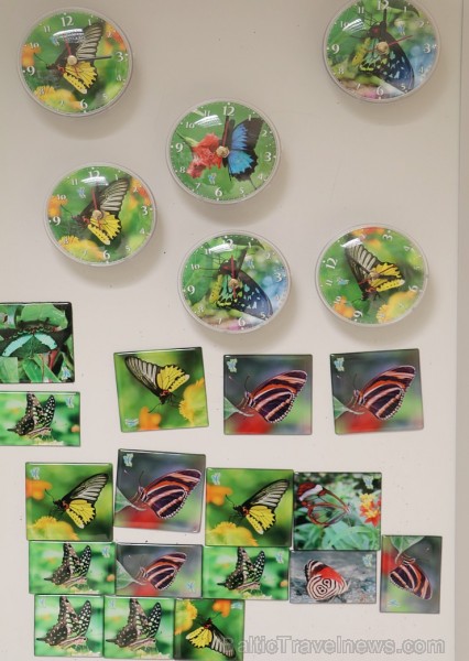 Travelnews.lv apmeklē Konjas taureņu māju «Konya Tropical Butterfly Garden». Atbalsta: Turkish Airlines Travelnews.lv apmeklē Konjas taureņu māju «Konya Tropical Butterfly Garden». Atbalsta: Turkish Airlines 223767