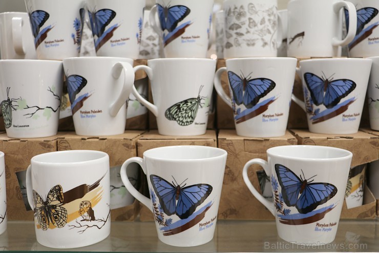 Travelnews.lv apmeklē Konjas taureņu māju «Konya Tropical Butterfly Garden». Atbalsta: Turkish Airlines Travelnews.lv apmeklē Konjas taureņu māju «Konya Tropical Butterfly Garden». Atbalsta: Turkish Airlines 223768