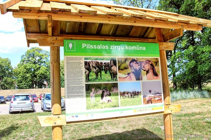 Jelgavas Pils salā izveidots teju 20 metru garš skatu tornis un piknika vieta 226468