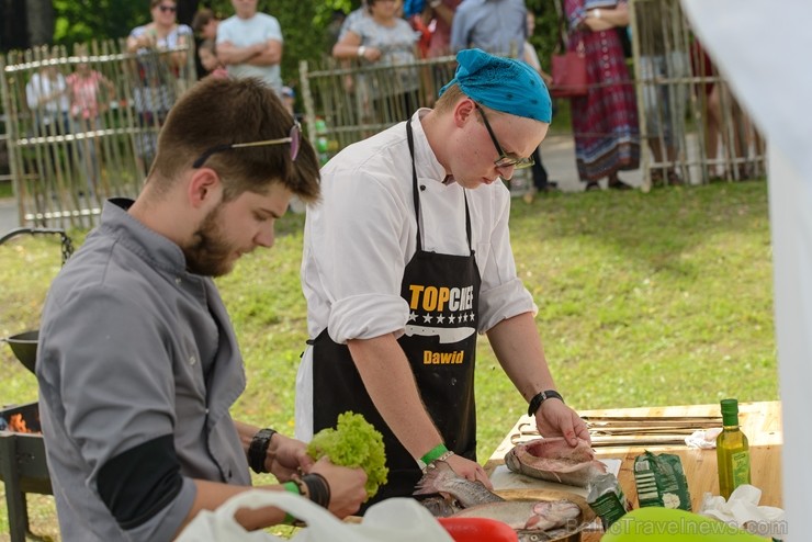 Zaubē tiek aizvadīts savvaļas kulinārais festivāls 228399