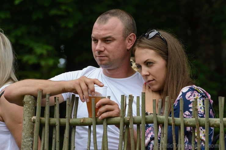 Zaubē tiek aizvadīts savvaļas kulinārais festivāls 228414