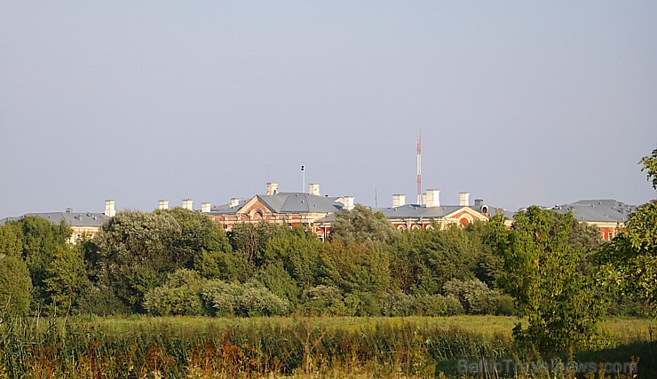 Travelnews.lv apmeklē savvaļas zirgus Jelgavas pļavās 228547