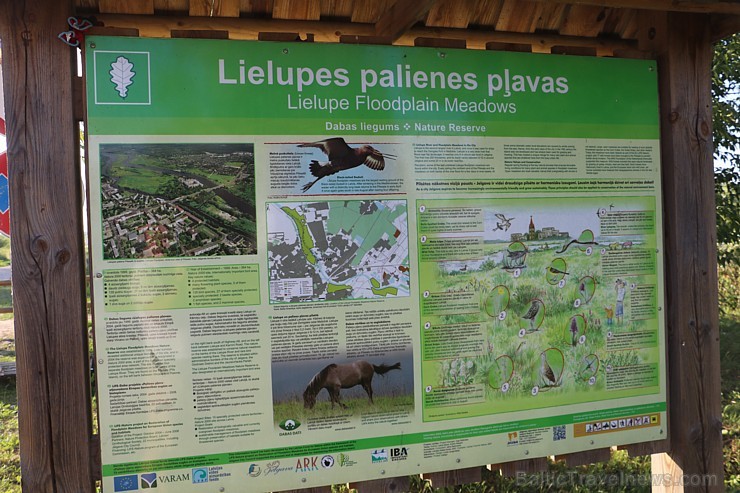 Travelnews.lv apmeklē savvaļas zirgus Jelgavas pļavās 228552