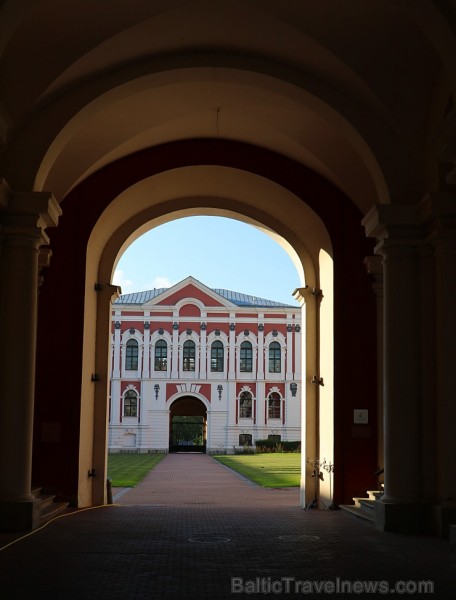 Travelnews.lv apmeklē savvaļas zirgus Jelgavas pļavās 228559