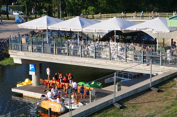 Travelnews.lv apmeklē savvaļas zirgus Jelgavas pļavās 228561