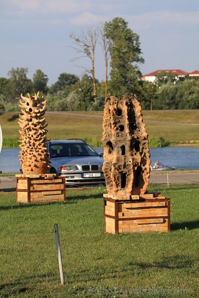 Travelnews.lv apmeklē savvaļas zirgus Jelgavas pļavās 228562