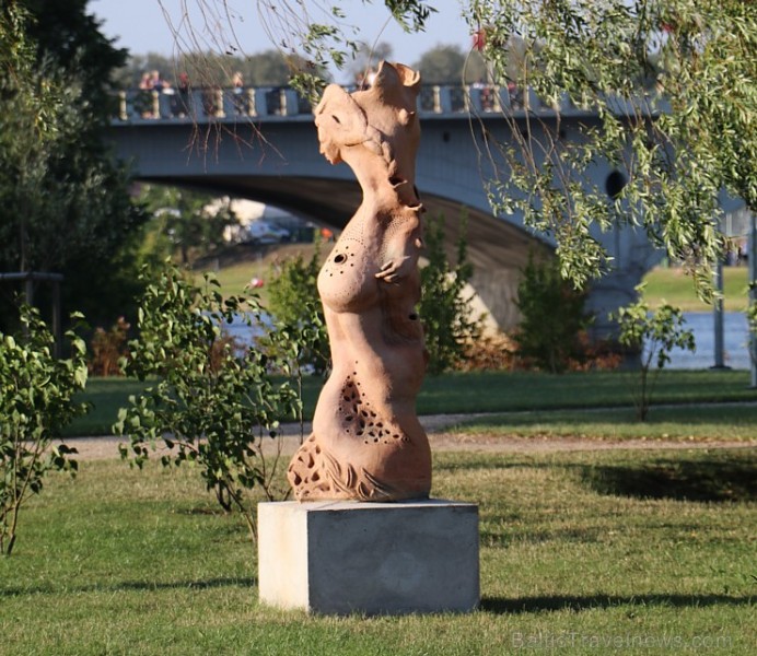 Travelnews.lv apmeklē savvaļas zirgus Jelgavas pļavās 228565