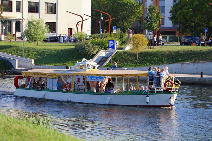Travelnews.lv apmeklē savvaļas zirgus Jelgavas pļavās 228568