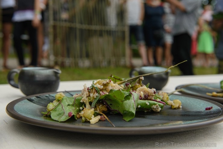 Zaubes savvaļas kulinārais festivāls un Lejasezera vakariņas pārsteidz ar ēdienu bagātību 228719