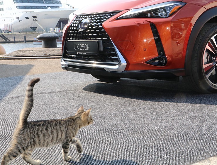 Travelnews.lv iepazīst jauno «Lexus UX250h» brokastīs 231912