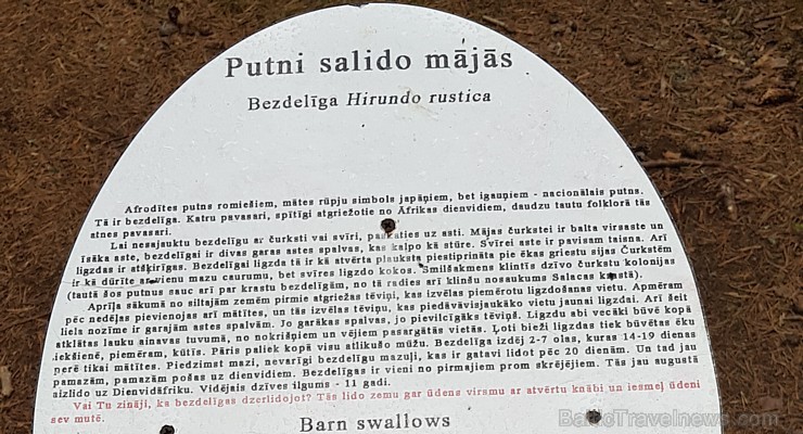 Skaiņaiskalns pie Mazsalacas piesaista daudzu ceļotāju interesi. Fotogaleriju atbalsta: izdevīgo cenu auto noma «Rental park» (bildēts ar Samsung Gala Skaiņaiskalns pie Mazsalacas piesaista daudzu ceļotāju interesi. Fotogaleriju atbalsta: izdevīgo cenu auto noma «Rental park» (bildēts ar Samsung Gala 232115