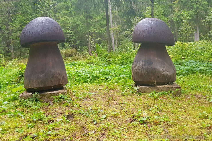 Skaiņaiskalns pie Mazsalacas piesaista daudzu ceļotāju interesi. Fotogaleriju atbalsta: izdevīgo cenu auto noma «Rental park» (bildēts ar Samsung Gala Skaiņaiskalns pie Mazsalacas piesaista daudzu ceļotāju interesi. Fotogaleriju atbalsta: izdevīgo cenu auto noma «Rental park» (bildēts ar Samsung Gala 232121