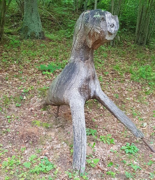 Skaiņaiskalns pie Mazsalacas piesaista daudzu ceļotāju interesi. Fotogaleriju atbalsta: izdevīgo cenu auto noma «Rental park» (bildēts ar Samsung Gala Skaiņaiskalns pie Mazsalacas piesaista daudzu ceļotāju interesi. Fotogaleriju atbalsta: izdevīgo cenu auto noma «Rental park» (bildēts ar Samsung Gala 232145