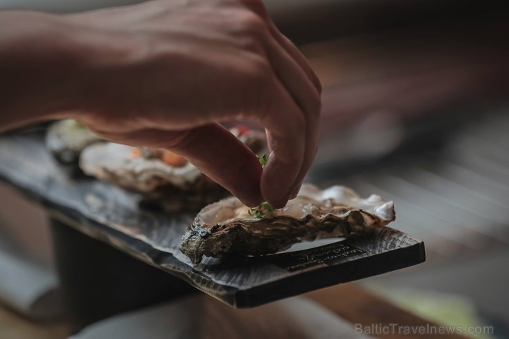 Restorāns «Petrus» aicina uz gardāko austeru degustāciju 11.oktobrī, kur būs iespējams baudīt 10 svaigas austeres ar dažādiem pildījumiem Restorāns «Petrus» aicina uz gardāko austeru degustāciju 11.oktobrī, kur būs iespējams baudīt 10 svaigas austeres ar dažādiem pildījumiem 234326