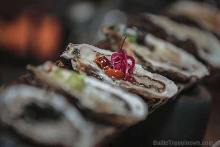 Restorāns «Petrus» aicina uz gardāko austeru degustāciju 11.oktobrī, kur būs iespējams baudīt 10 svaigas austeres ar dažādiem pildījumiem Restorāns «Petrus» aicina uz gardāko austeru degustāciju 11.oktobrī, kur būs iespējams baudīt 10 svaigas austeres ar dažādiem pildījumiem 234327