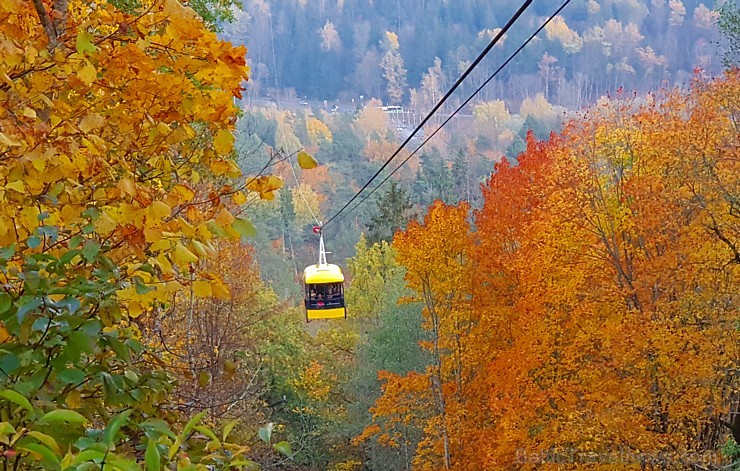 Travelnews.lv apceļo zelta rudens Latviju 235050