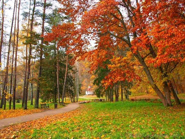 Latvijas un ārvalstu iedzīvotāju ķert zelta lapu mirkļus, atspoguļojot brīnišķīgi krāšņo rudeni. Foto no Siguldas novada pašvaldības vizuālo materiālu Latvijas un ārvalstu iedzīvotāju ķert zelta lapu mirkļus, atspoguļojot brīnišķīgi krāšņo rudeni. Foto no Siguldas novada pašvaldības vizuālo materiālu 235225
