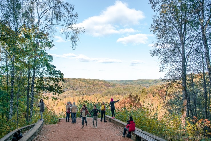 Latvijas un ārvalstu iedzīvotāju ķert zelta lapu mirkļus, atspoguļojot brīnišķīgi krāšņo rudeni. Foto no Siguldas novada pašvaldības vizuālo materiālu 235230
