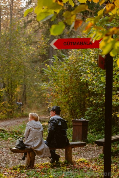 Latvijas un ārvalstu iedzīvotāju ķert zelta lapu mirkļus, atspoguļojot brīnišķīgi krāšņo rudeni. Foto no Siguldas novada pašvaldības vizuālo materiālu Latvijas un ārvalstu iedzīvotāju ķert zelta lapu mirkļus, atspoguļojot brīnišķīgi krāšņo rudeni. Foto no Siguldas novada pašvaldības vizuālo materiālu 235236