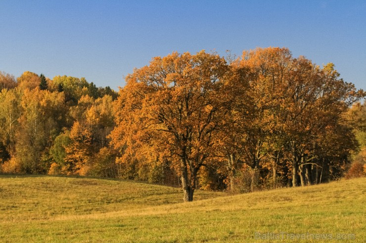 Bīriņu Pils parks ir brīnišķīga vieta zelta rudens baudīšanai 235560