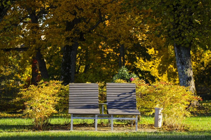 Bīriņu Pils parks ir brīnišķīga vieta zelta rudens baudīšanai 235572