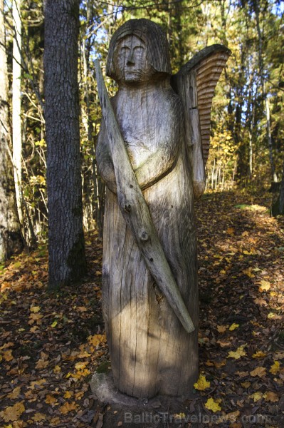 Bīriņu Pils parks ir brīnišķīga vieta zelta rudens baudīšanai 235577