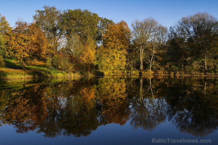 Bīriņu Pils parks ir brīnišķīga vieta zelta rudens baudīšanai 235586