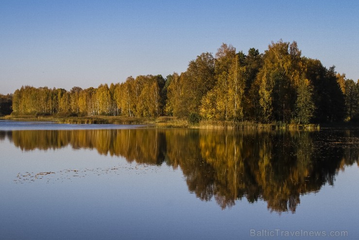 Bīriņu Pils parks ir brīnišķīga vieta zelta rudens baudīšanai 235589