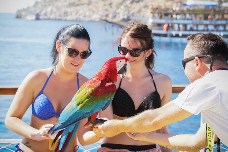 Travelnews.lv dodas izbraucienā ar izklaides kuģīti pa Alānijas piekrasti. Sadarbībā ar Turkish Airlines Travelnews.lv dodas izbraucienā ar izklaides kuģīti pa Alānijas piekrasti. Sadarbībā ar Turkish Airlines 235896