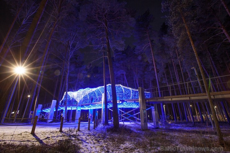 Jūrmalā - Dzintaru mežaparkā - atklāts Gaismas parks, kurā dažādos gaismas dekoros, skulptūrās jau otro gadu iemirdzas tūkstošiem LED gaismiņu. Jūrmalā - Dzintaru mežaparkā - atklāts Gaismas parks, kurā dažādos gaismas dekoros, skulptūrās jau otro gadu iemirdzas tūkstošiem LED gaismiņu. 239725