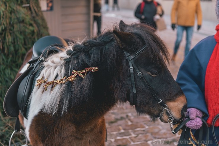 Brīvdienās un svētku dienās tirdziņā var apciemot Ziemassvētku vecīti un satikt rūķus, kā arī doties izjādēs ar ponijiem. Visu tirdziņa laiku darbojas 240897