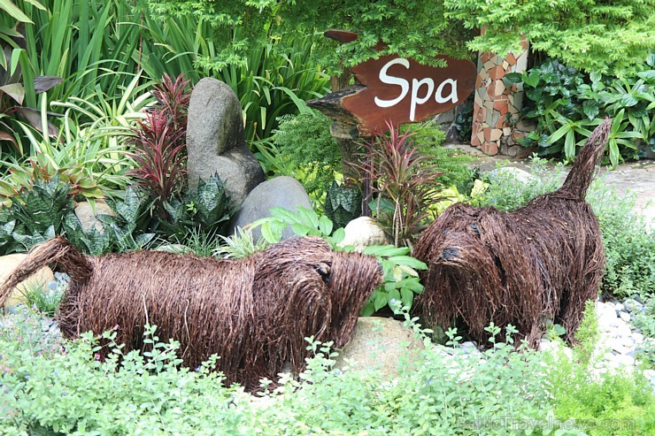 Vjetnamas pludmales viesnīca «Bamboo Village Beach Resort & Spa» kopā ar 365 brīvdienas un Turkish Airlines 243567
