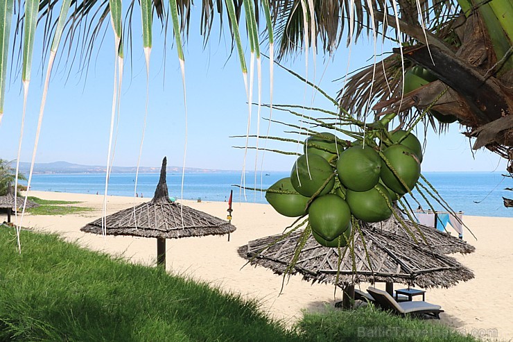 Travelnews.lv iepazīst Vjetnamas pludmales viesnīcu «Anantara Mui Ne Resort» kopā ar 365 brīvdienas un Turkish Airlines Travelnews.lv iepazīst Vjetnamas pludmales viesnīcu «Anantara Mui Ne Resort» kopā ar 365 brīvdienas un Turkish Airlines 243819