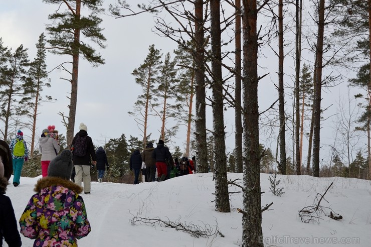 Interesantā pārgājiena laikā pasākuma dalībnieki tika izglītoti par dzīvniekiem ziemā, atstātajiem pēdu nospiedumiem, varēja noskaidrot no kurienes at 243925