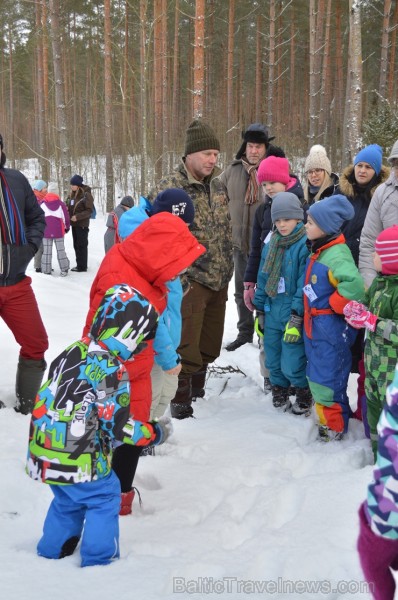 Interesantā pārgājiena laikā pasākuma dalībnieki tika izglītoti par dzīvniekiem ziemā, atstātajiem pēdu nospiedumiem, varēja noskaidrot no kurienes at 243929