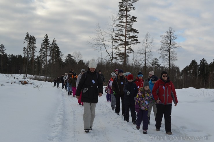 Interesantā pārgājiena laikā pasākuma dalībnieki tika izglītoti par dzīvniekiem ziemā, atstātajiem pēdu nospiedumiem, varēja noskaidrot no kurienes at 243932