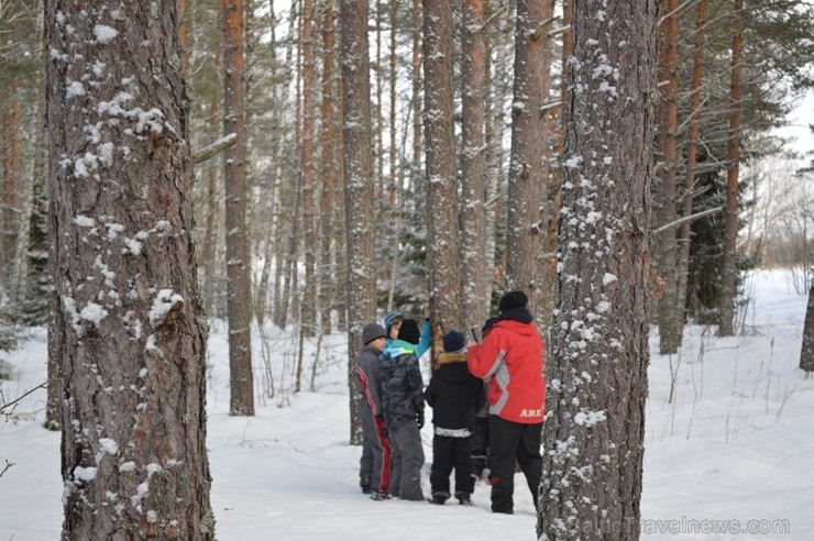 Interesantā pārgājiena laikā pasākuma dalībnieki tika izglītoti par dzīvniekiem ziemā, atstātajiem pēdu nospiedumiem, varēja noskaidrot no kurienes at 243937