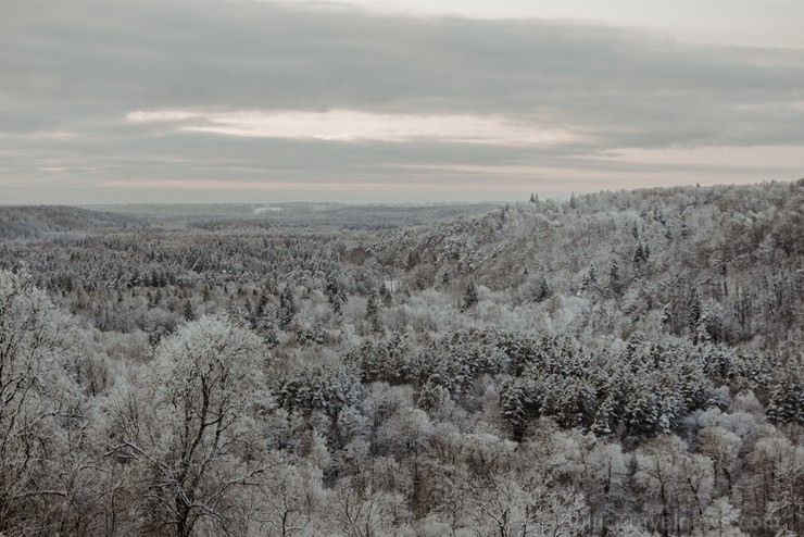 Kā ar maģisku burvju nūjiņas pieskārienu, Sigulda lepni iznes visu gadalaiku tērpus - zeltu, sudrabu, ievziedu mirdzumu un sulīgo vasaras zaļumu Kā ar maģisku burvju nūjiņas pieskārienu, Sigulda lepni iznes visu gadalaiku tērpus - zeltu, sudrabu, ievziedu mirdzumu un sulīgo vasaras zaļumu 243967