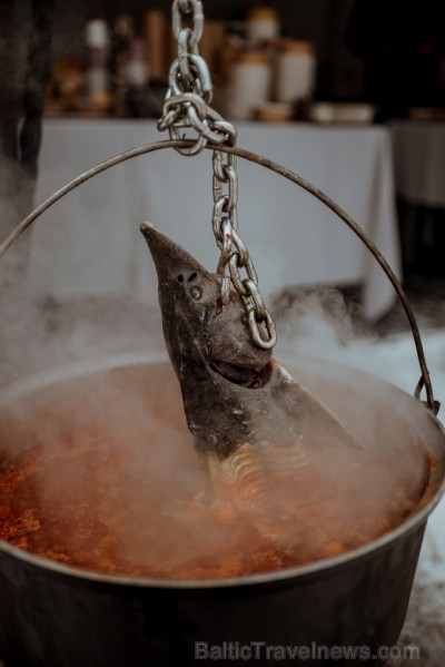 «Ziemas garšu svinēšanas» laikā ikviens ļāvās gastronomiskam piedzīvojumam un izbaudīja labākos Rīgas - Gaujas reģiona restorānu šefpavāru ēdienus, ka «Ziemas garšu svinēšanas» laikā ikviens ļāvās gastronomiskam piedzīvojumam un izbaudīja labākos Rīgas - Gaujas reģiona restorānu šefpavāru ēdienus, ka 244170