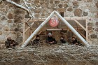 «Ziemas garšu svinēšanas» laikā ikviens ļāvās gastronomiskam piedzīvojumam un izbaudīja labākos Rīgas - Gaujas reģiona restorānu šefpavāru ēdienus, ka 102
