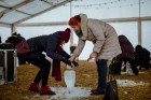 «Ziemas garšu svinēšanas» laikā ikviens ļāvās gastronomiskam piedzīvojumam un izbaudīja labākos Rīgas - Gaujas reģiona restorānu šefpavāru ēdienus, ka 120