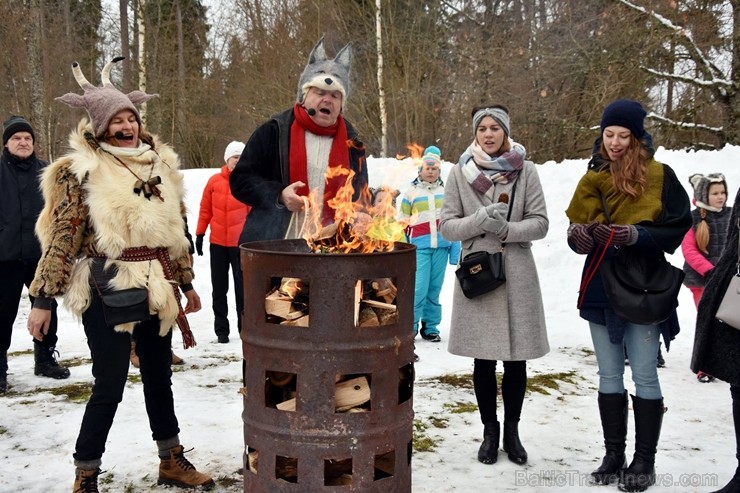 Kopā ar folkloristiem un latvisko tradīciju zinātājiem Alūksnē svinēja Meteņdienu, ejot rotaļās, lieloties, ēdot cūkas šņukuru, vizinoties no kalna un Kopā ar folkloristiem un latvisko tradīciju zinātājiem Alūksnē svinēja Meteņdienu, ejot rotaļās, lieloties, ēdot cūkas šņukuru, vizinoties no kalna un 245959