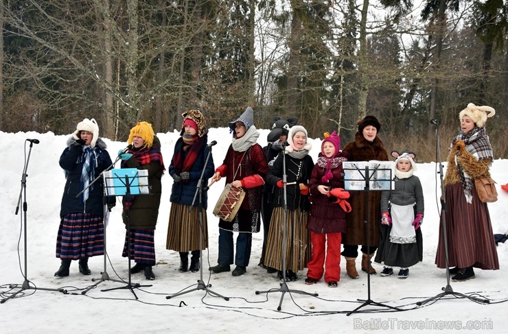 Kopā ar folkloristiem un latvisko tradīciju zinātājiem Alūksnē svinēja Meteņdienu, ejot rotaļās, lieloties, ēdot cūkas šņukuru, vizinoties no kalna un Kopā ar folkloristiem un latvisko tradīciju zinātājiem Alūksnē svinēja Meteņdienu, ejot rotaļās, lieloties, ēdot cūkas šņukuru, vizinoties no kalna un 245962